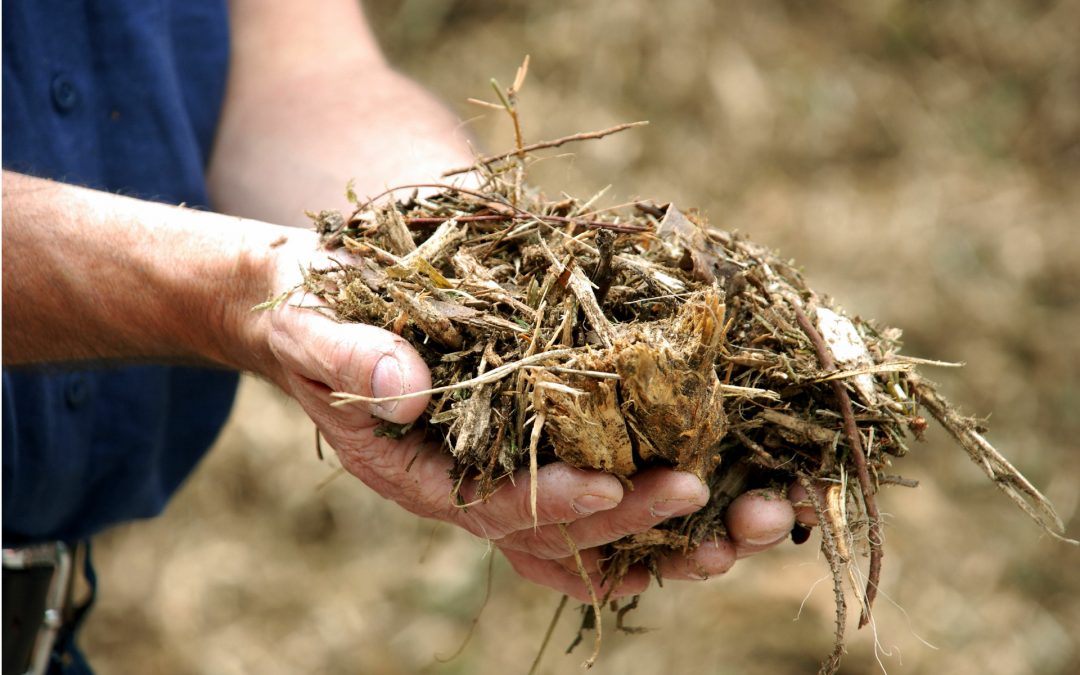 Analyses instrumentales appliquées aux produits biosourcés