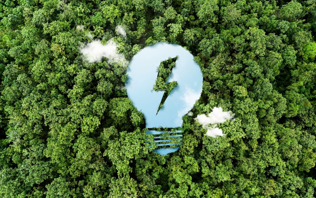 Planification stratégique environnementale en entreprise